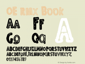OE rmx Book Version 1.000 2011 initial r图片样张