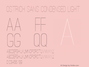 Ostrich Sans Condensed Light Version 1.000 Font Sample