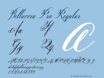 Belluccia Pro Regular Version 1.000 Font Sample