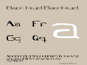 Black Model BlackModel Version 1.00 January 1, 2005图片样张