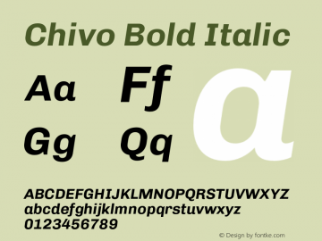 Chivo Bold Italic Version 1.003;PS 001.003;hotconv 1.0.70;makeotf.lib2.5.58329 Font Sample