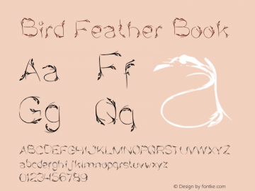 Bird Feather Book Version 1.00 February 23, 20图片样张