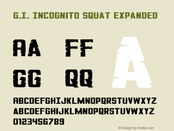 G.I. Incognito Squat Expanded Version 1.0; 2012图片样张