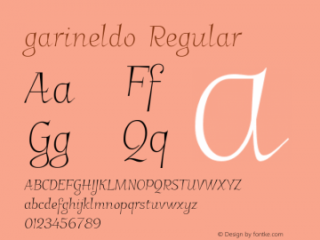 garineldo Regular Version 0.24 Font Sample