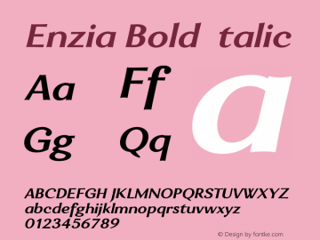 Enzia Bold Italic Unknown图片样张
