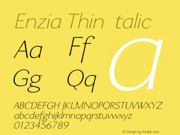 Enzia Thin Italic Unknown图片样张