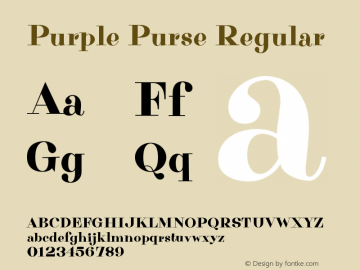 Purple Purse Regular Version 1.000图片样张