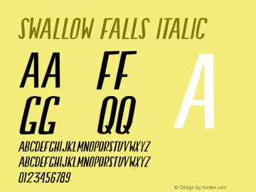 Swallow Falls Italic Unknown图片样张