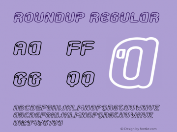 Roundup Regular Version 1.00 Font Sample