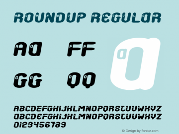 Roundup Regular Version 1.00图片样张