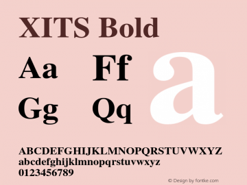 XITS Bold Version 001.005 Font Sample