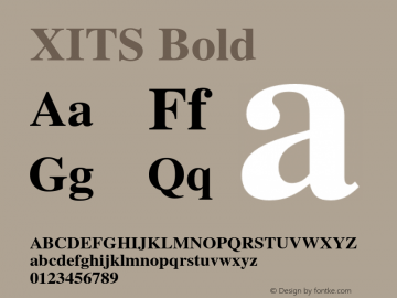 XITS Bold Version 1.010 Font Sample
