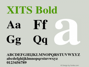 XITS Bold Version 1.105 Font Sample
