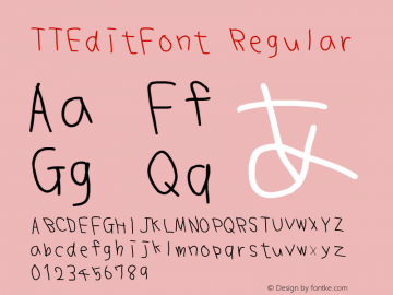 TTEditFont Regular Version 1.00图片样张