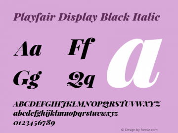 Playfair Display Black Italic Version 1.005; ttfautohint (v1.2) -l 10 -r 42 -G 200 -x 21 -D latn -f latn -w G -X 