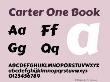 Carter One Book Version 1.000图片样张