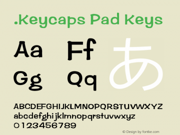 .Keycaps Pad Keys 10.0d12e1图片样张