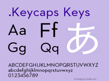 .Keycaps Keys Version 1.00 October 19, 2015, initial release图片样张