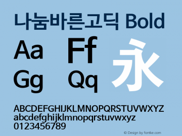 나눔바른고딕 Bold Version 1.001 2013 initial release图片样张