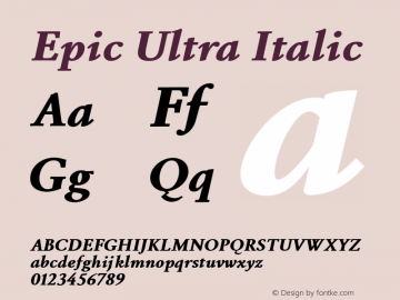 Epic Ultra Italic Unknown图片样张