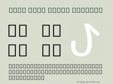 Noto Sans Bamum Regular Version 1.02图片样张