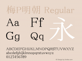 梅P明朝 Regular Look update time of this file. Font Sample