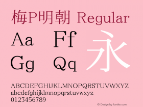 梅P明朝 Regular Look update time of this file. Font Sample