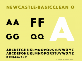 Newcastle-BasicClean ☞ Version 1.001;PS 001.001;hotconv 1.0.70;makeotf.lib2.5.58329;com.myfonts.easy.facetype.newcastle.basic-clean.wfkit2.version.4hJ1 Font Sample