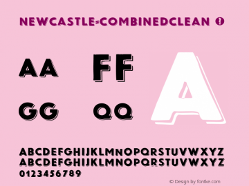 Newcastle-CombinedClean ☞ Version 1.001;PS 001.001;hotconv 1.0.70;makeotf.lib2.5.58329;com.myfonts.easy.facetype.newcastle.combined-clean.wfkit2.version.4hGb Font Sample