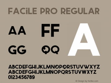 Facile Pro Regular Unknown Font Sample