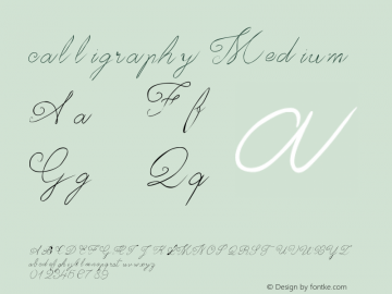 calligraphy Medium Version 001.000 Font Sample