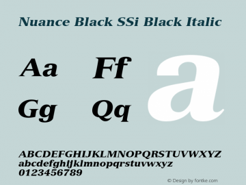 Nuance Black SSi Black Italic 001.002图片样张
