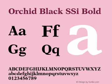 Orchid Black SSi Bold 001.000图片样张