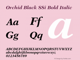 Orchid Black SSi Bold Italic 001.000图片样张