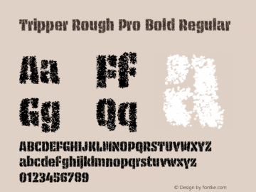 Tripper Rough Pro Bold Regular Version 2.501 (license nr. xxxx) Font Sample