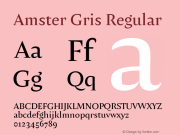 Amster Gris Regular Version 1.000;PS 001.000;hotconv 1.0.70;makeotf.lib2.5.58329 Font Sample