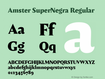 Amster SuperNegra Regular Version 1.000;PS 001.000;hotconv 1.0.70;makeotf.lib2.5.58329图片样张