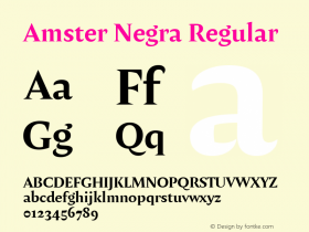 Amster Negra Regular Version 1.000;PS 001.000;hotconv 1.0.70;makeotf.lib2.5.58329 Font Sample