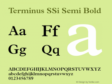 Terminus SSi Semi Bold 001.000图片样张