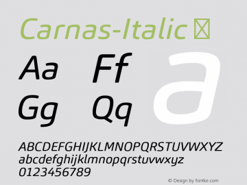 Carnas-Italic ☞ Version 1.000;com.myfonts.easy.hoftype.carnas.italic.wfkit2.version.4mCc图片样张