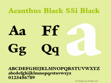 Acanthus Black SSi Black 001.000 Font Sample
