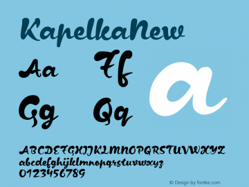 KapelkaNew ☞ Version 1.000;com.myfonts.easy.paratype.kapelka-new.regular.wfkit2.version.4mNx Font Sample