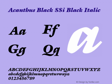 Acanthus Black SSi Black Italic 001.000 Font Sample