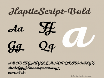 HapticScript-Bold ☞ Version 1.000;PS 001.000;hotconv 1.0.70;makeotf.lib2.5.58329;com.myfonts.easy.henning-skibbe.haptic-script.bold.wfkit2.version.4ncb Font Sample