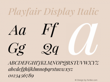 Playfair Display Italic Version 1.005;PS 001.005;hotconv 1.0.70;makeotf.lib2.5.58329 Font Sample