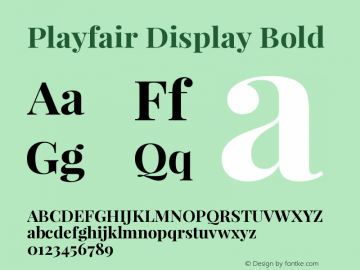 Playfair Display Bold Version 1.004;PS 001.004;hotconv 1.0.70;makeotf.lib2.5.58329 Font Sample
