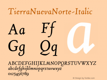 TierraNuevaNorte-Italic ☞ 001.000;com.myfonts.easy.fdi.fdi-tierra-nueva.italic.wfkit2.version.3rJ8 Font Sample