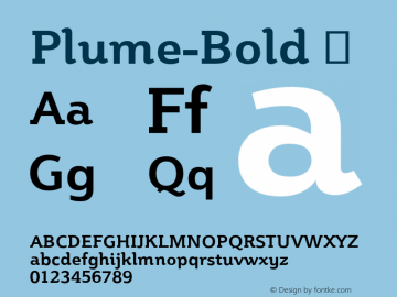 Plume-Bold ☞ Version 1.002;com.myfonts.easy.daltonmaag.plume.bold.wfkit2.version.4czW Font Sample