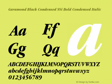 Garamond Black Condensed SSi Bold Condensed Italic 001.000图片样张