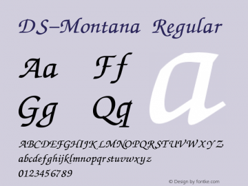 DS-Montana Regular Version 1.000 2006 initial release图片样张